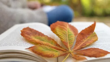 Jesienne zabawy z książką zaproszą sześciolatki do biblioteki w Klikowej