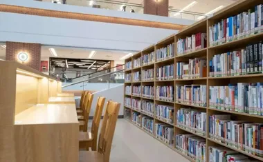 Wilki, niedźwiedzie i Tarnów - Anna Maziuk przywiezie reportaż prosto z dzikiej natury