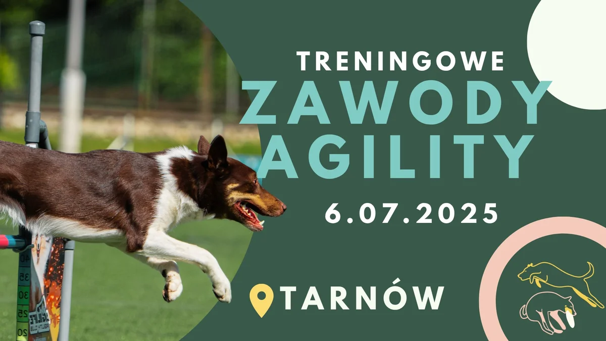 Grafika promocyjna wydarzenia Agility z udziałem psów w Tarnowie – treningowa rywalizacja