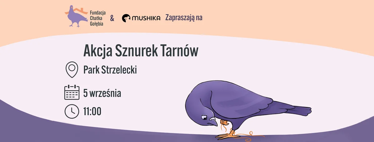 Grafika promocyjna wydarzenia Akcja Sznurek Tarnów – pomoc gołębiom