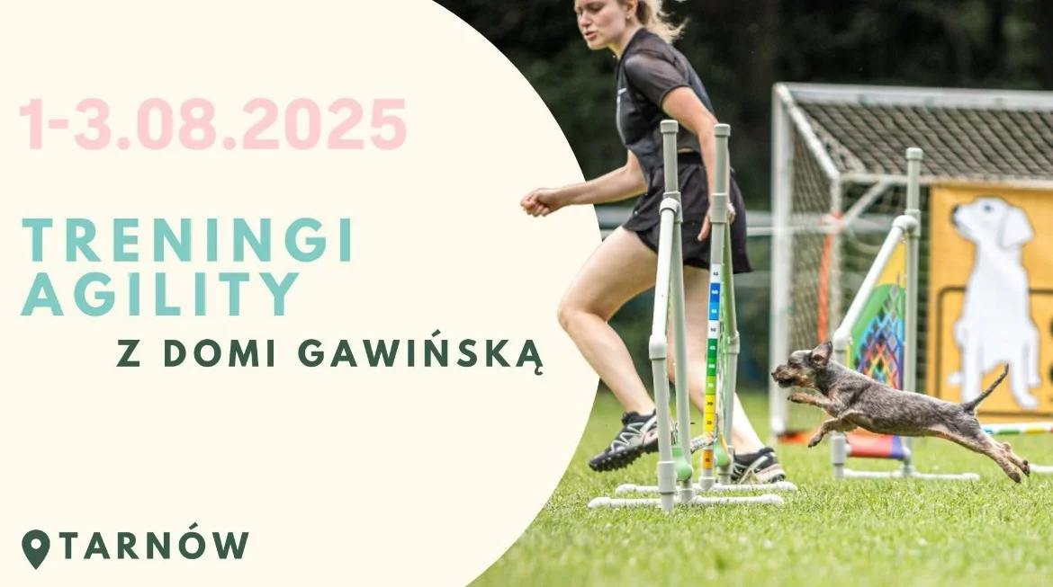 Grafika promocyjna wydarzenia Seminarium treningowe z agility w Tarnowie w sierpniu 2025