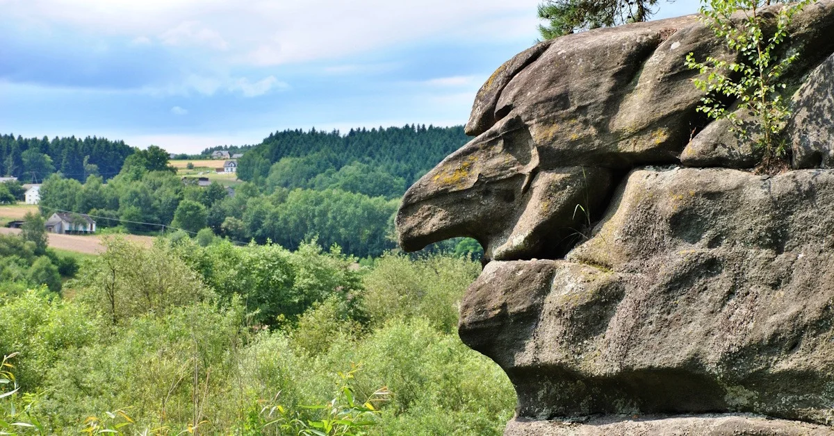 Grafika promocyjna wydarzenia Skamieniałe Miasto, Wąwóz Czarownic, dwór Paderewskiego, Diable Boisko, Tarnów #10 – wycieczka