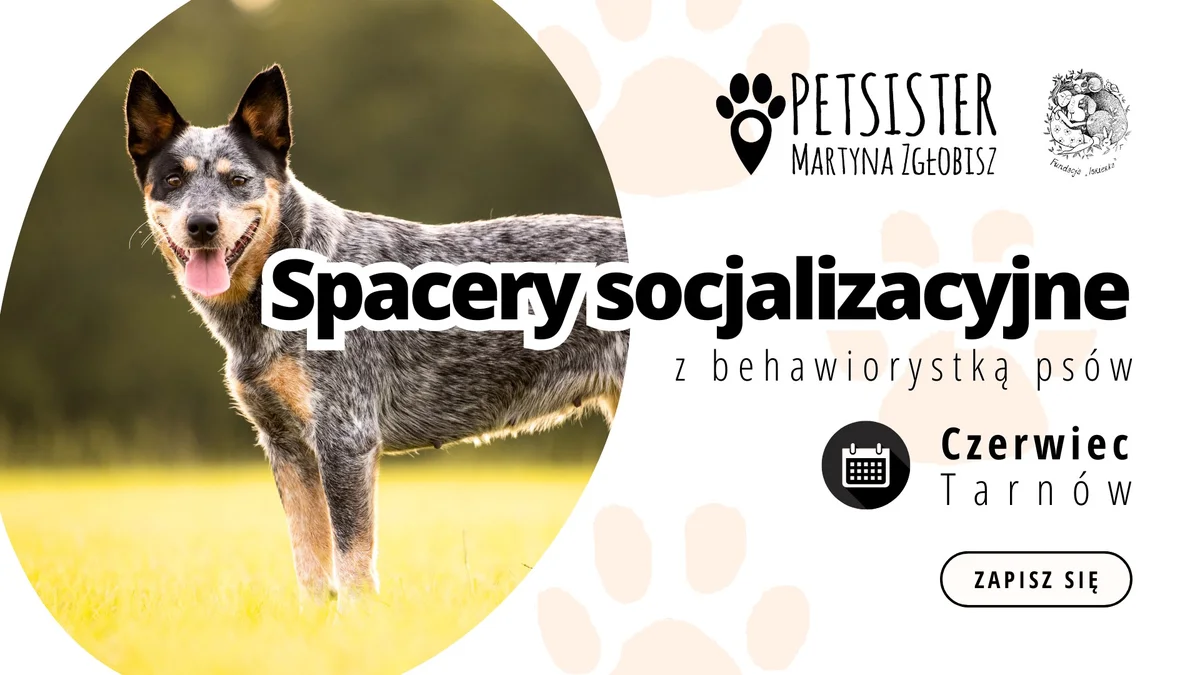 Grafika promocyjna wydarzenia Socjalizacyjne spacery dla psów i opiekunów w Tarnowie – czerwiec 2025