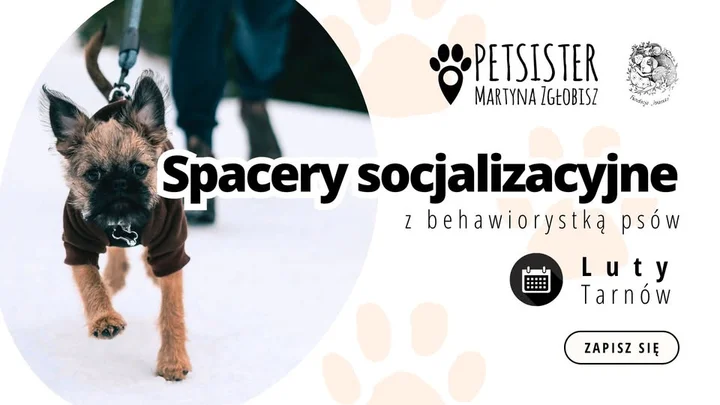 Grafika promocyjna wydarzenia Spacery socjalizacyjne w Tarnowie — luty 2026