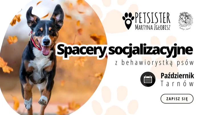 Grafika promocyjna wydarzenia Spacery socjalizacyjne | Tarnów — październik 2025