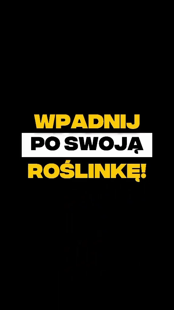 Grafika promocyjna wydarzenia Targi Roślin w Tarnowie – oferta dla miłośników zieleni