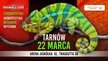 Grafika promocyjna wydarzenia Animals Live TARNÓW — terrarystyka, akwarystyka i botanika w Arenie Jaskółka