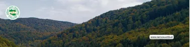BUSOV – wyprawa na szczyt