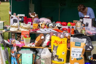 Grafika promocyjna wydarzenia Dorffest w Tarnow – festyn z meczami, pokazami strażackimi i tańcami