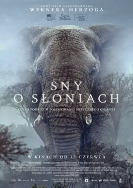 Grafika promocyjna wydarzenia Sny o słoniach