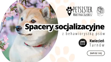 Grafika promocyjna wydarzenia Spacery socjalizacyjne w Tarnowie – kwiecień 2026