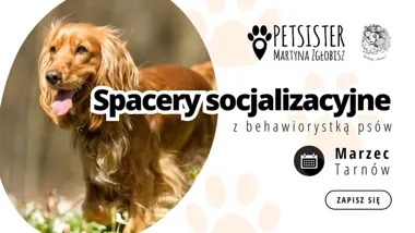 Grafika promocyjna wydarzenia Spacery socjalizacyjne w Tarnowie — marzec 2026