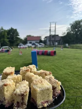 Grafika promocyjna wydarzenia Treningowe Zawody Agility — Tarnów, 19 kwietnia 2026