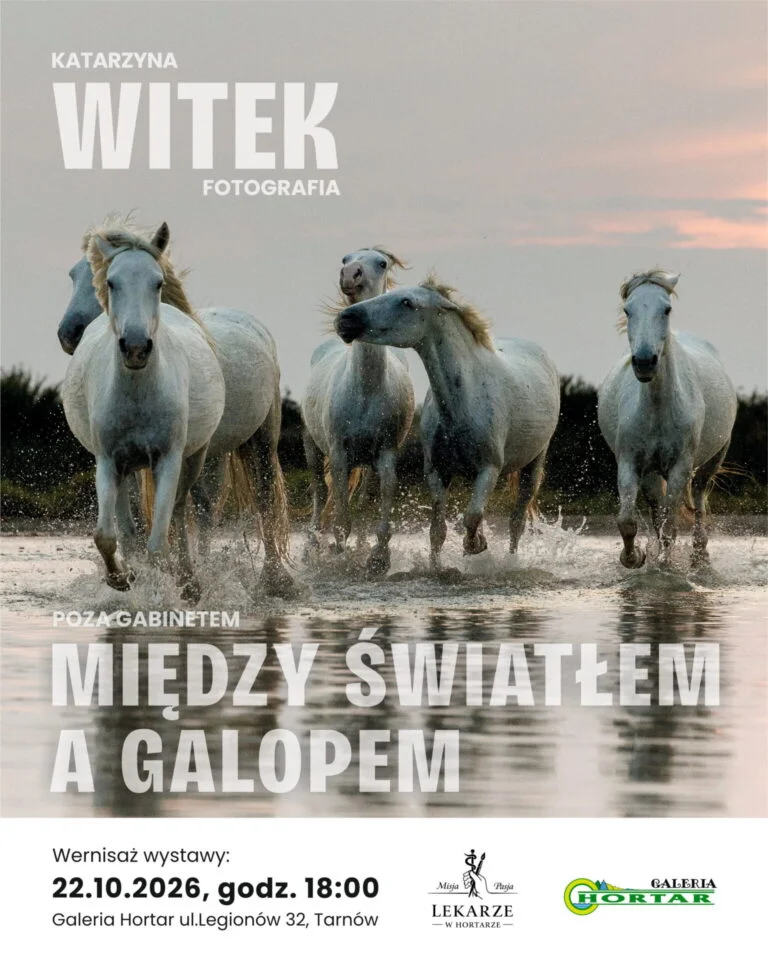 Grafika promocyjna wydarzenia Wernisaż fotografii Katarzyny Witek w Tarnowie