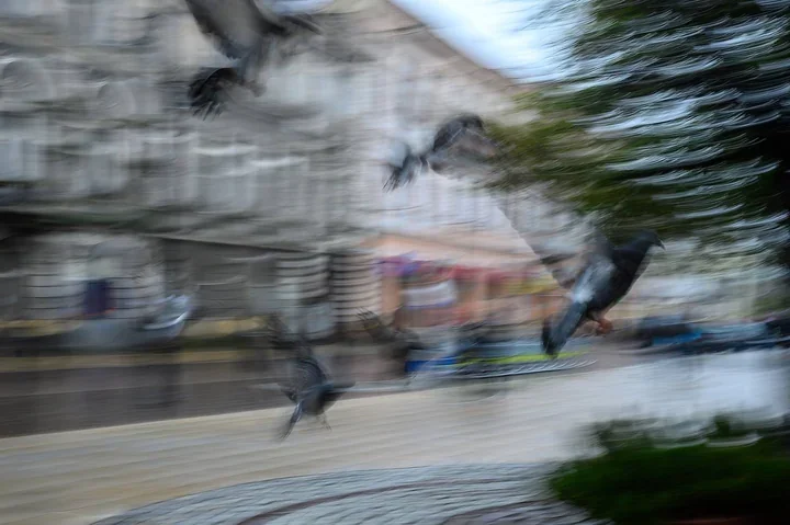 IMGW ostrzega przed burzami w Tarnowie. Wiatr może osiągnąć 85 km/h