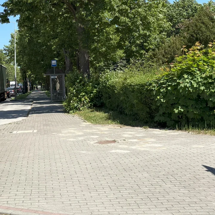 Oszczędności sfinansują nowe ścieżki rowerowe na Kwiatkowskiego