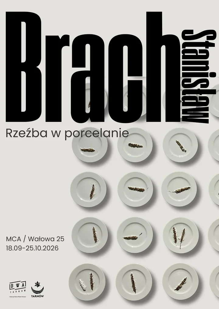 Porcelanowy kłos i pszczeli plaster. Nowa wystawa w Tarnowie
