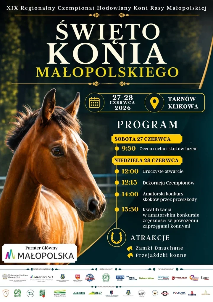 W Klikowej ocenią najlepsze konie małopolskie. Program ma też atrakcje dla rodzin