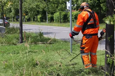 Koszenie idzie pełną parą w Tarnowie. Trawa rośnie szybciej niż ekipy nadążają