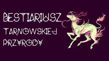 Nietoperze i owady na rodzinnym spacerze. Fantastyczny Tarnów