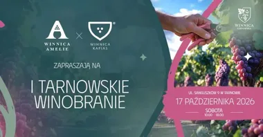 Tarnowskie winobranie pozwoli wejść między rzędy winorośli