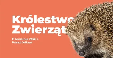 Jeże już wyprzedane, ale w Pasażu Odkryć zostały jeszcze dwa zwierzęce bloki