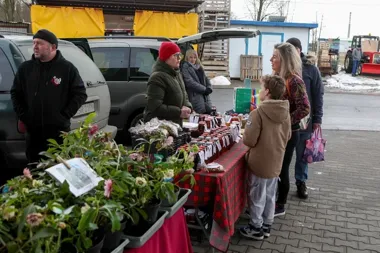 Na Giełdowej znów rozstawią się smaki regionu prosto od lokalnych producentów