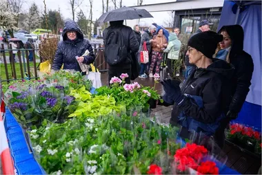Elektroodpady zamienią się w sadzonki. Na Kantorii szykuje się tłok