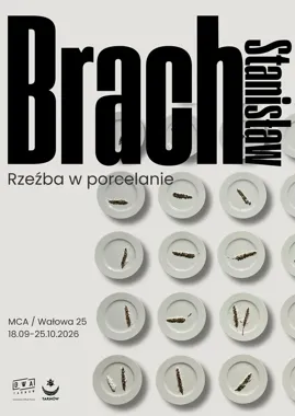 Porcelanowy kłos i pszczeli plaster. Nowa wystawa w Tarnowie
