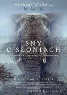 Słonie-duchy i granica ludzkiej ciekawości. Film Herzoga w Tarnowie