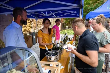 Tarnowski Festiwal Wina wraca na Starówkę. Trzecia edycja z regionalnymi winnicami i lokalnymi smakami