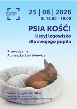 W Tarnowie powstanie legowisko dla psa. Potrzebne są podstawy szycia
