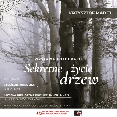 Drzewa pokażą swoje drugie życie. Nowa wystawa fotografii w Tarnowie