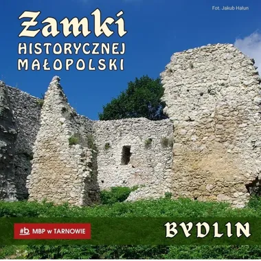 Ruiny uznawano za kościół. Badania odsłoniły historię zamku w Bydlinie