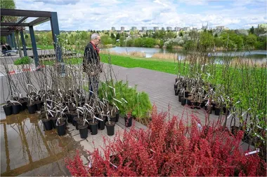 Tarnów na weekend pęka w szwach. Muzea, sport i Wrak Race