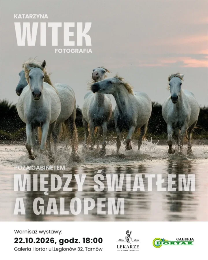 Lekarka pokazuje świat poza gabinetem. Wystawa Katarzyny Witek w Tarnowie
