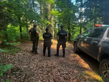 Tuchowskie lasy pod specjalnym nadzorem. Policja i Straż Leśna ruszyły w teren