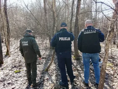 Pięć wnyków w lesie pod Brzeźnicą - policja typuje sprawców