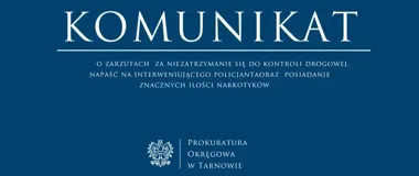 Tymczasowy areszt po pościgu. Zarzuty za napaść i narkotyki